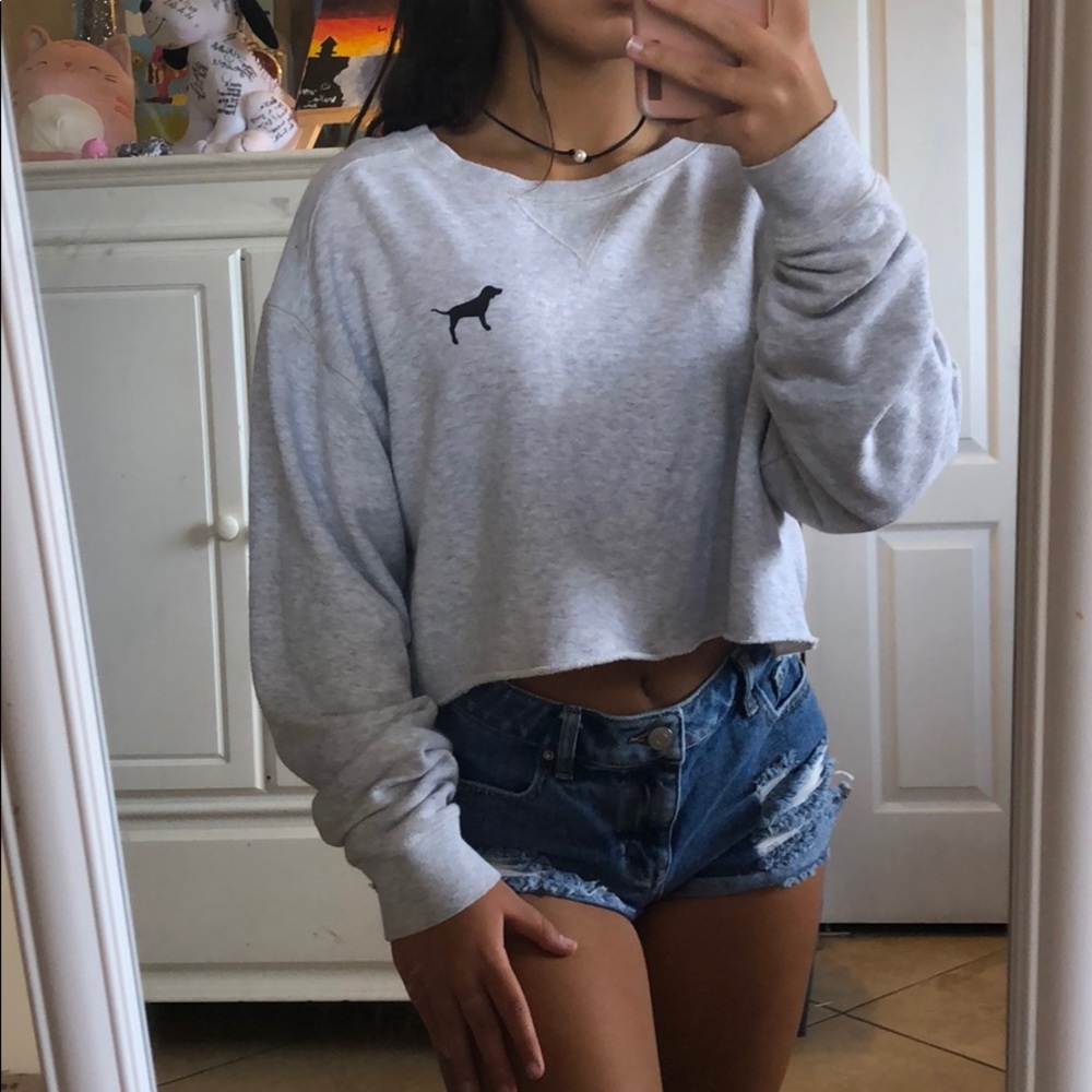 Victoria Secret Pink Grey Mesh Cropped Sweater